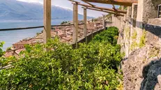 Limonaie, scrigno di eccellenze gardesane note in tutto il mondo