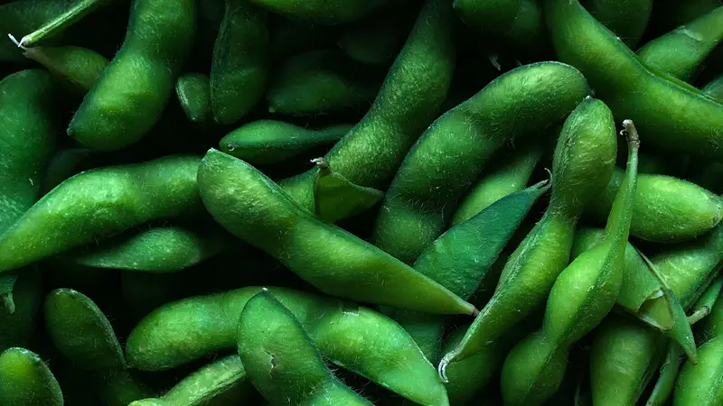 Edamame