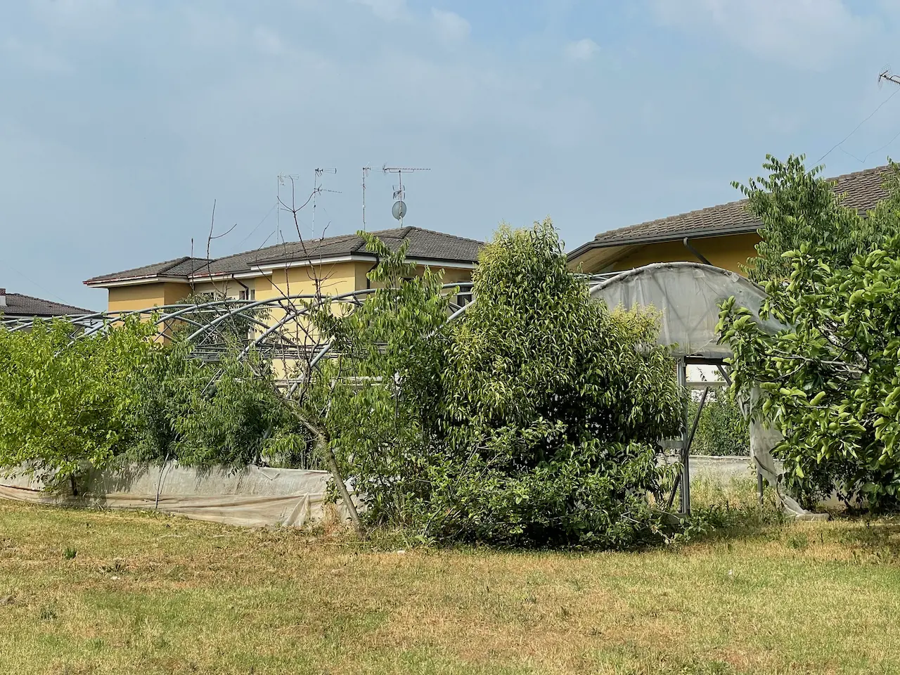 Cooperativa Il Gelso