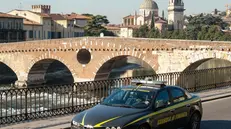 gdf verona