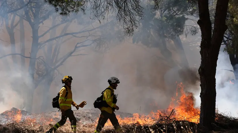 epa12208725 Firefighters work on extinguishing a forest fire in Chiclana de la Frontera (Cadiz), Andalusia, Spain, 01 July 2025. The fire has led to the preventive evacuation of several homes. EPA/ROMAN RIOS