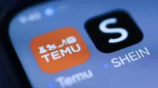 epa11880209 (ILLUSTRATION) - The Temu (L) and Shein e-commerce apps are displayed on a smartphone, in Berlin, Germany, 07 February 2025. As part of its e-commerce customs and trade proposal, the European Commission proposed on 05 February, measures to tackle risks from cheap imports sold online by non-EU retailers and marketplaces, including enhanced customs controls. EPA/HANNIBAL HANSCHKE