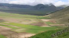 "Si avvia la vera ricostruzione di Castelluccio di Norcia che renderà questo posto un dei luoghi più sicuri del mondo": è quanto ha detto all'ANSA il commissario straordinario alla ricostruzione post sisma 2016, Guido Castelli, durante la presentazione del progetto alla cittadinanza, 04 maggio 2024. ANSA / Gianluigi Basilietti