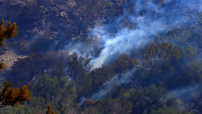 epa12212221 Scattered blazes burn in the forest during a wildfire in Ierapetra, on Crete island, Greece, 03 July 2025. According to Fire Department spokesperson Chief Vasilios Vathrakoyannis, 230 firefighters with 13 foot teams, 46 vehicles, and 10 helicopters are battling multiple wildfire outbreaks in Ierapetra, Crete, after the fire broke out on the afternoon of 02 July. Strong winds reaching 9 Beaufort continue to spark new blazes and smog, complicating efforts. Water tankers and machinery from Crete, Central Macedonia, and the General Staff of National Defense are also assisting. EPA/NIKOS CHALKIADAKIS