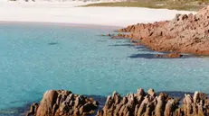 Un'immagine della Spiaggia Rosa diffusa il 31 gennaio 2013 dall' "Ente Parco Nazionale dell'Arcipelago di La Maddalena". ANSA