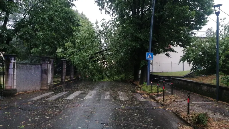 I danni in via Zanardelli a Palazzolo