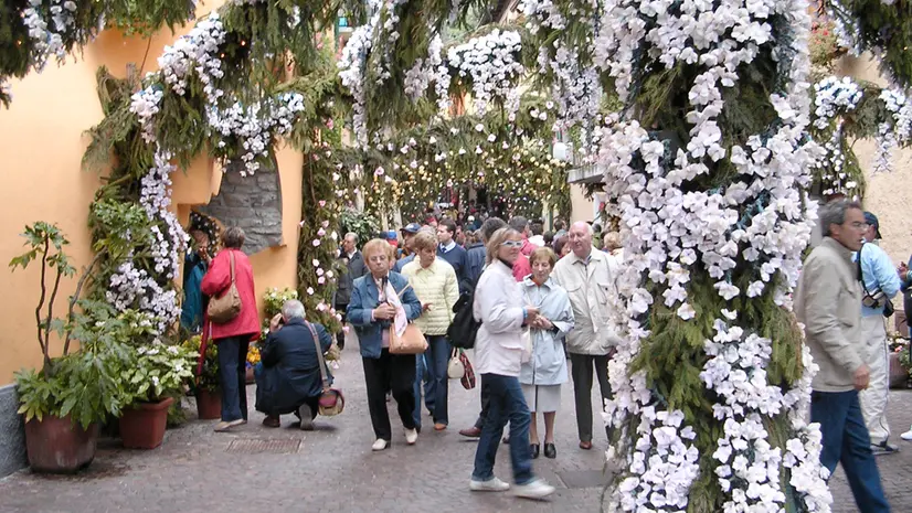 CARZANO DI MONTISOLA PAESE IN FIORE PER LA FESTA QUINQUENNALE. RED. PROVINCIA 18/09/2005 CARZANO MONTISOLA BRESCIA FOTO EDEN-carzano di montisola in fiore festa quinquennale