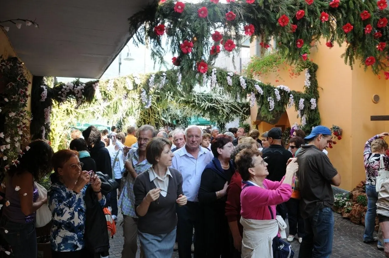 La Festa dei fiori di Montisola nel 2010