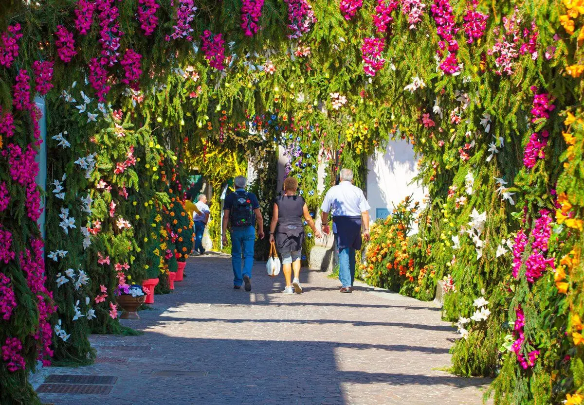 Fiori. La tradizionale festa a Carzano
