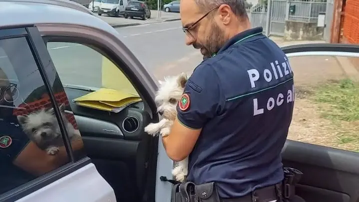 Il cane riportato ai padroni - © www.giornaledibrescia.it