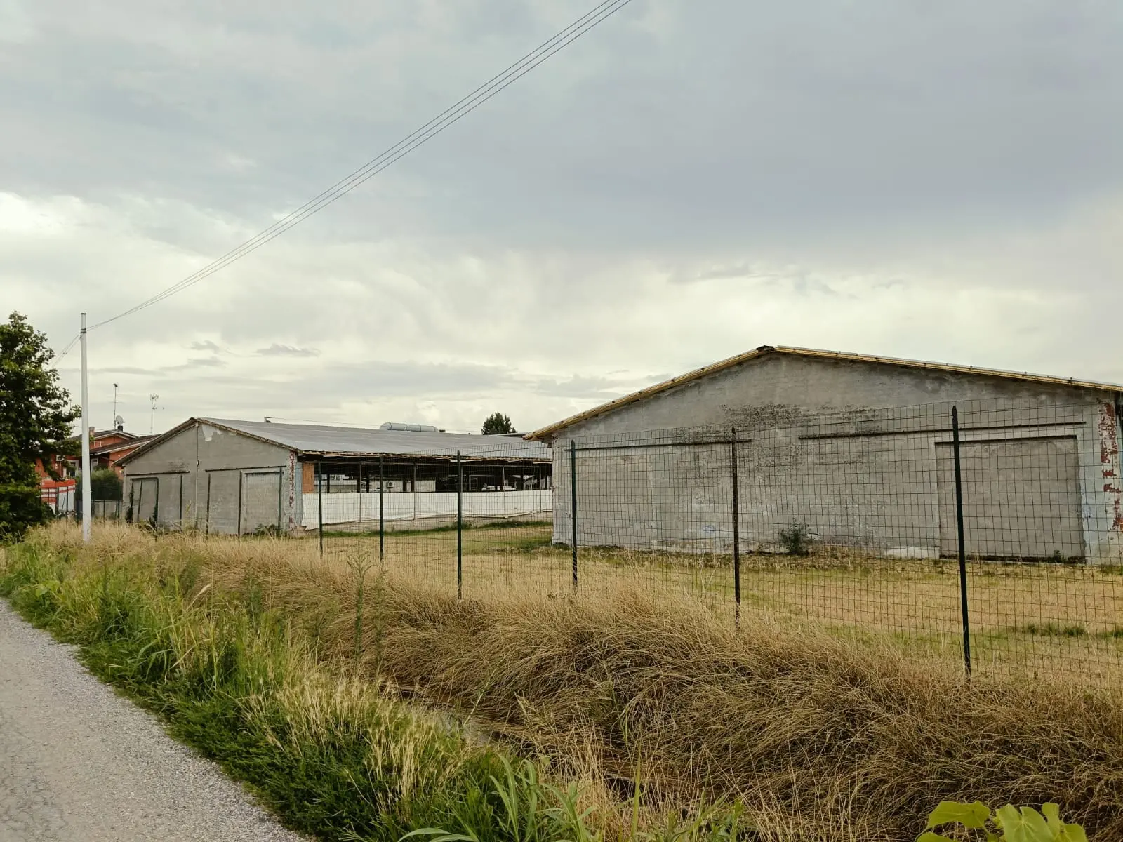 Incendio in un allevamento di Isorella