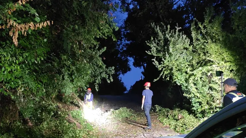 Gli interventi di soccorso dei Vigili del fuoco - © www.giornaledibrescia.it