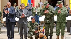 epa10712862 Colombian President Gustavo Petro (2-L) awards a decorations to the mother of Wilson, the dog that helped rescue the indigenous children who were lost in the jungle for 40 days and who got lost in the jungle during the operation, at the NariÃ±o Palace, in Bogota, Colombia, on 26 June 2023. EPA/Mauricio Duenas Castaneda