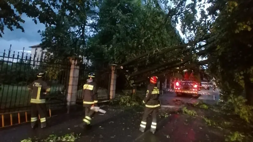 Tanti gli interventi dei Vigili del fuoco per alberi pericolanti © www.giornaledibrescia.it