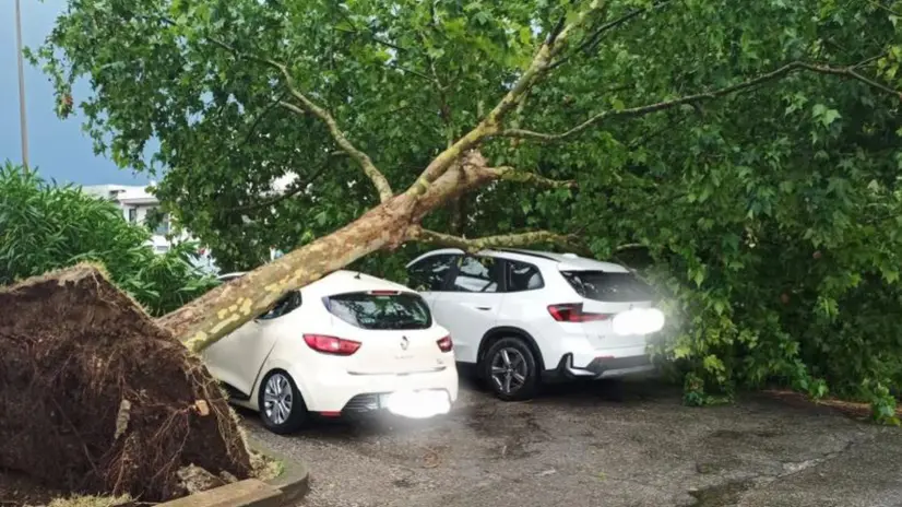 Tempesta a Verona, vento a 200 km/h. Notizie in uscita. Foto polizia locale