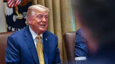 epa12225103 US President Donald J Trump participates in a cabinet meeting in the Cabinet Room of the White House in Washington, DC, USA, 08 July 2025. EPA/AARON SCHWARTZ / POOL