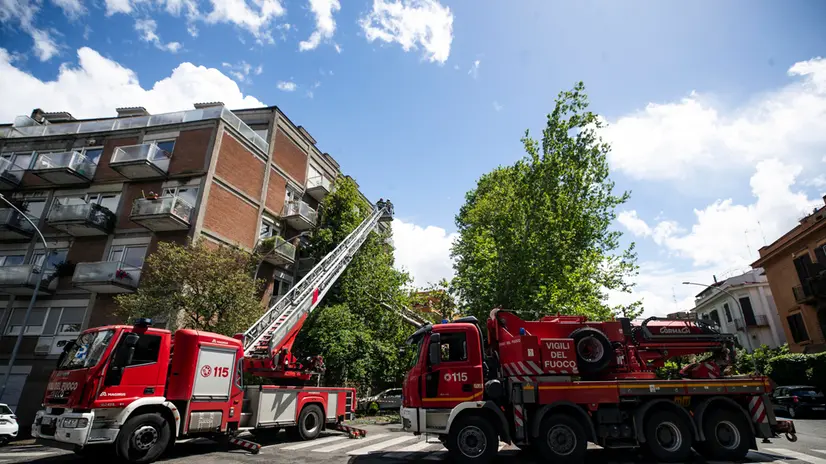 Vigili del Fuoco a lavoro su un grosso ramo di un albero caduto per il maltempo, su una facciata di un palazzo in via Latina nel quartiere Appio, Roma, 02 maggio 2024. ANSA/ANGELO CARCONI