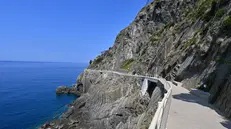 Anteprima stampa per la riapertura della Via dell'amore tra Riomaggiore e Manarola nel parco dell 5 Terre. Dal 27 luglio sarà riaperta al pubblico dei residenti nell'area parco, dal 9 agosto anche ai turisti. Oltre 2 anni e mezzo di lavori dopo le frane del 2012, che ne avevano decretato la chiusura per motivi di sicurezza. Manarola, 26 luglio 2024. ANSA/LUCA ZENNARO