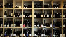 epa11961511 Wine bottles rest on a shelf in a wine cellar in Saint Mathieu de Treviers, southern France, 13 March 2025. US President Donald Trump threatened the European Union on the Truth Social platform on 13 March 2025 with a 200% tariff on tariff on wine, cognac and other alcohol imports from Europe, in response to the EU's retaliation against the US steel and aluminium tariffs. EPA/Guillaume Horcajuelo