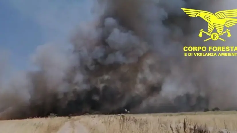 Sardegna rogo incendi fiamme
