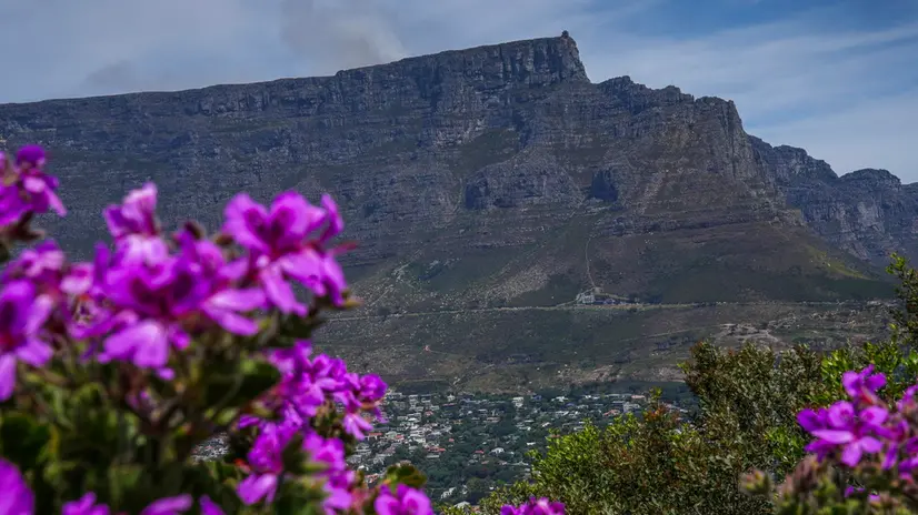 epa10272986 Smoke rises from a blaze ontop of the world heritage site Table Mountain National Park in Cape Town, South Africa, 29 October 2022. Firefighters from Table Mountain National Park and the City of Cape Town Fire and Rescue Services continue to battle the fire. Helicopters from Working on Fire in the Southern Cape have been called in to help along with ground crews from NCC Wildfires services as the fire spread towards the top section of the cableway area. EPA/NIC BOTHMA