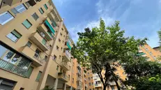 Appartamento omicidio piazza dell’unità Bologna