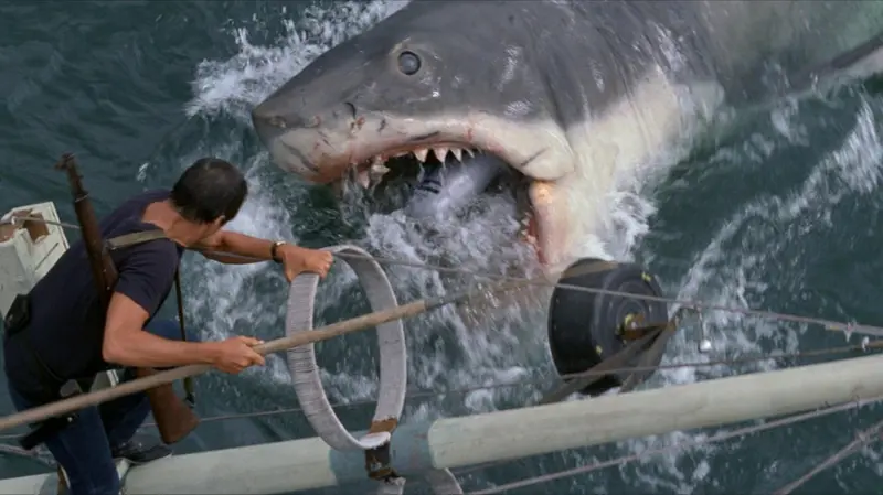 Lo Squalo di Spielberg, i 50 anni del primo blockbuster - Foto Ansa