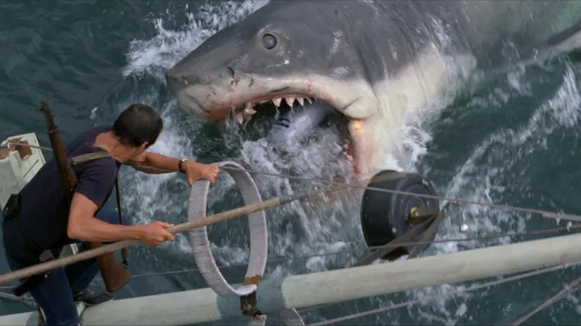 Lo Squalo di Spielberg, i 50 anni del primo blockbuster - Foto Ansa