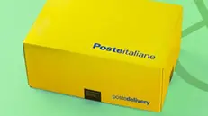 Un pacco di Poste Italiane