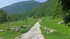 La Val Grande è facilmente accessibile a piedi - © www.giornaledibrescia.it