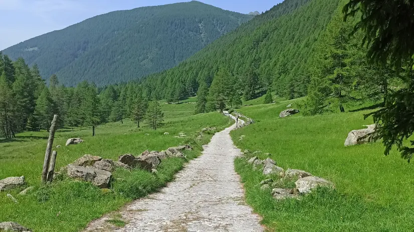 La Val Grande è facilmente accessibile a piedi - © www.giornaledibrescia.it