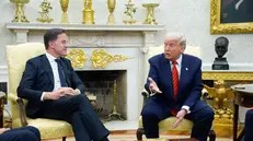 epa11961580 US President Donald Trump (R) meets with NATO Secretary General Mark Rutte (L) in the Oval Office of the White House in Washington, DC, USA, 13 March 2025. EPA/YURI GRIPAS / POOL