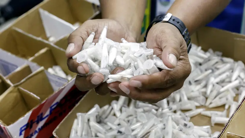 epa07481790 A Filipino specialist holds plastic vials containing spiderlings after being turned over from the Bureau of Customs to the Department of Environment and Natural Resources in Quezon, Philippines, 03 April 2019. Environment agency officials said that some 757 tarantulas, most of which were spiderlings kept in plastic vials and concealed in boxes sent from Poland, were intercepted by the Bureau of Customs at Manila's international airport on 01 April. EPA/ROLEX DELA PENA