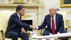 epa12237704 NATO Secretary General Mark Rutte (L) shakes hands with US President Donald Trump during a meeting in the Oval Office of the White House in Washington, DC, USA, 14 July 2025. EPA/YURI GRIPAS / POOL