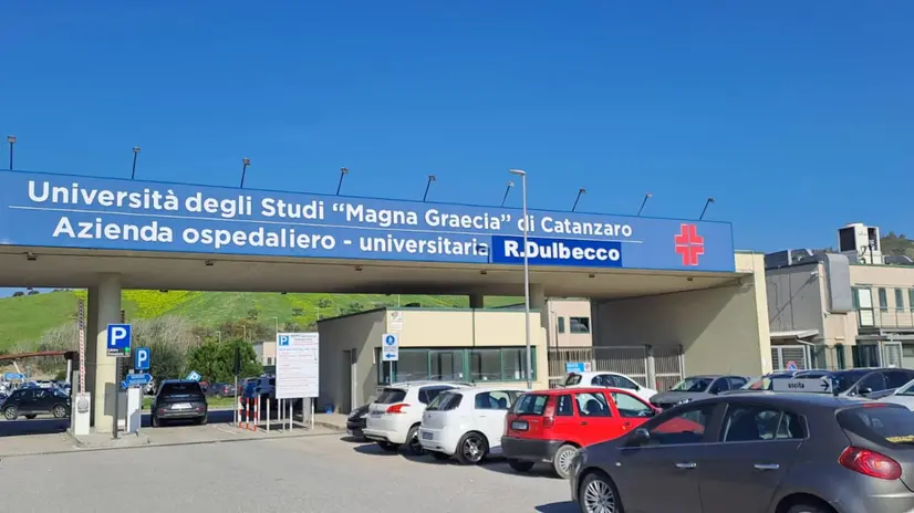 Azienda ospedaliero universitaria Renato Dulbecco