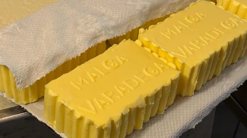 La produzione di burro e formaggi a Malga Varadega