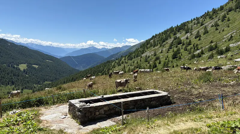La zona di Malga Varadega, sul Mortirolo - © www.giornaledibrescia.it