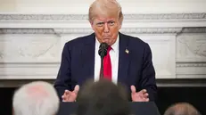 epa12237911 US President Donald Trump participates in the White House Faith Office Luncheon in the State Dining Room at the White House in Washington, DC, USA, 14 July 2025. EPA/YURI GRIPAS / POOL