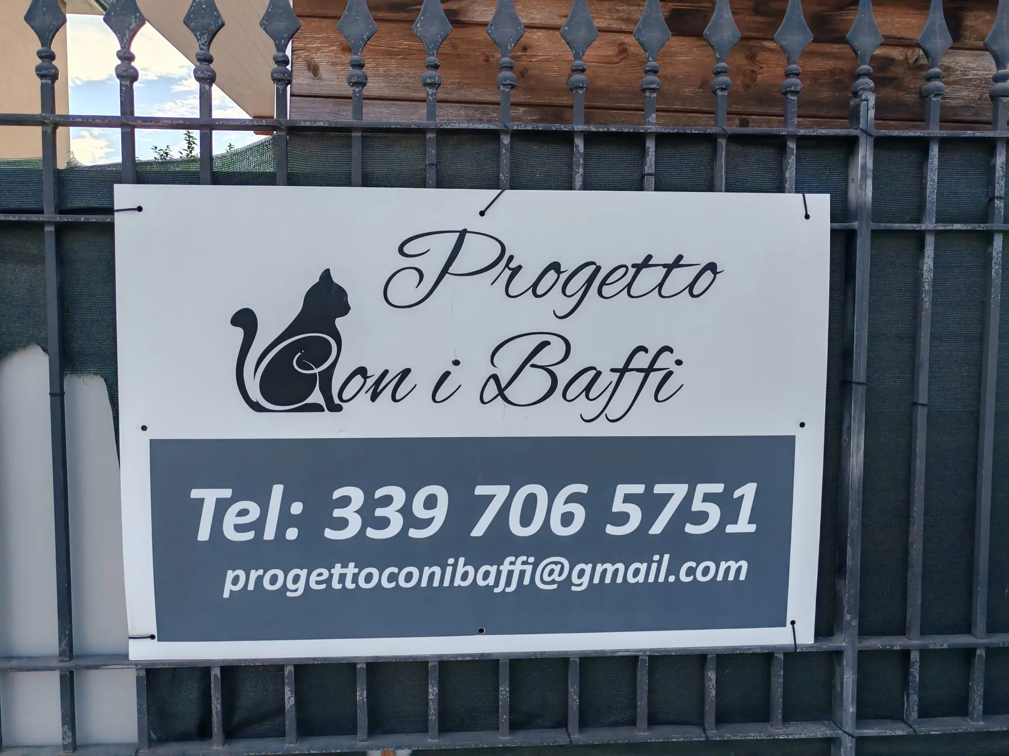 Gli spari al gattile di Castrezzato
