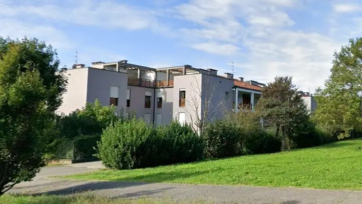 La siepe che avrebbe violato la distanza dalla proprietà privata - © www.giornaledibrescia.it