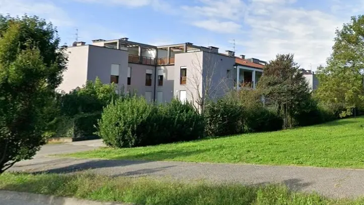 La siepe che avrebbe violato la distanza dalla proprietà privata - © www.giornaledibrescia.it