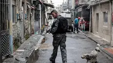 epa10909713 A police officer participates in an operation against criminal gangs in a favela in Rio de Janeiro, Brazil, 09 October 2023. Nearly 1,000 police officers were deployed in three of the most violent favelas in Rio de Janeiro in a mega-operation with which authorities seek to catch leaders of the Red Command, one of the most dangerous criminal organizations in Brazil, official sources reported. The actions took place in Complexo da Mare, Vila Cruzeiro and Cidade de Deus, where the agents seek to fulfill 100 arrest warrants, according to the secretary of the Civil Police of the state of Rio de Janeiro, Jose Renato Torres, in a press conference. EPA/Antonio Lacerda