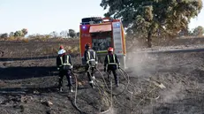 epa12244556 Firefighters work to extinguish the embers of a fire that has affected the towns of Navalcarnero and Villamanta, Madrid, Spain, 18 July 2025. The fire broke out in Mentrida, Toledo, on 17 July and has so far burned more than 3,000 hectares. EPA/CHEMA MOYA