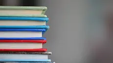 Le letture consigliate - © www.giornaledibrescia.it