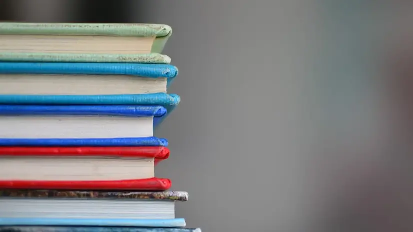 Le letture consigliate - © www.giornaledibrescia.it