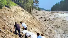 Soccorsi dopo la tragedia di Stava, in Trentino. ANSA/UFF STAMPA FONDAZIONE STAVA 1985 ONLUS +++NO SALES, EDITORIAL USE ONLY+++