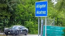 epa12238069 A police car guards the new detention center Alligator Alcatraz's entrance in Ochopee, Florida, USA, 14 July 2025. Alligator Alcatraz is an immigration detention facility in southern Florida's Everglades, surrounded by Everglade's wildlife like alligators, Florida panthers and pythons, and snakes as a natural deterrent. EPA/CRISTOBAL HERRERA-ULASHKEVICH