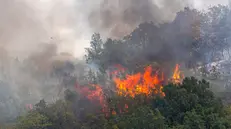 epa11483695 A general view of a forest fire, next to the Krivolak military training ground, near the town of Negotino, North Macedonia, 17 July 2024. Several wildfires swept across northern Macedonia, prompting a 30-day state of emergency. Planes and helicopters from Croatia, Serbia, Slovenia and Turkey have arrived to help fight the fires. Authorities have identified 12 active wildfires burning in the country as of Tuesday morning, July 16. The largest fire was near the town of Negotino, while another blaze was approaching the southern town of Bitola. The region has also been hit by a heat wave since last week, which is forecast to continue for several more days. EPA/GEORGI LICOVSKI