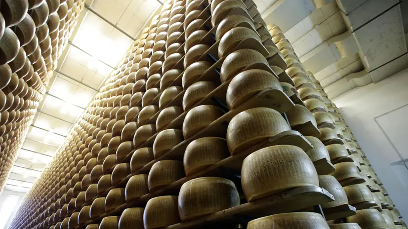 Parmigiano Reggiano. L'agroalimentare Made in Italy rischia di pagare un conto salatissimo, circa un miliardo di euro, dopo il verdetto del Wto che ha ufficializzato l'entità delle compensazioni che gli americani potranno chiedere all'Ue per gli aiuti illegali a Airbus: 7,5 miliardi. La lista dei prodotti interessati dalle misure ritorsive - che potrebbero arrivare ad aumenti tariffari anche del 100 per cento - non è stata definita oggi. Tra una decina di giorni la commissione statunitense Dsd dovrebbe esprimersi su come rastrellare questi 7,5 miliardi, ma a tremare sono i produttori dei simboli della tavola italiana, le cui esportazioni negli Usa valgono 4,2 miliardi euro. ANSA