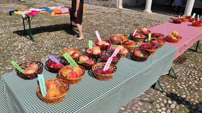 Alcuni cestini alla festa delle pesche di Collebeato - © www.giornaledibrescia.it